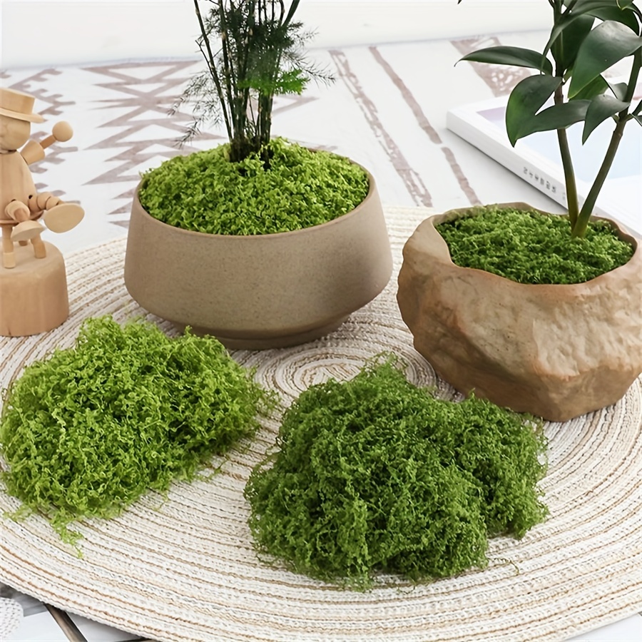 Terrarium Moss Art - 1pack kunstmatig nepmos, 1,05 OZ DIY