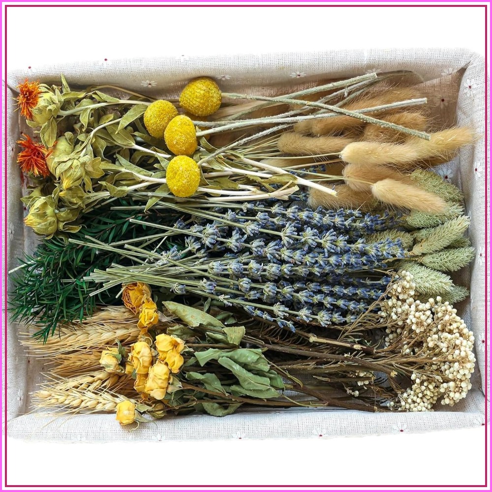 Dried Flower Bulk - DIY Natuurlijke Gedroogde Bloemenset Met Stengels