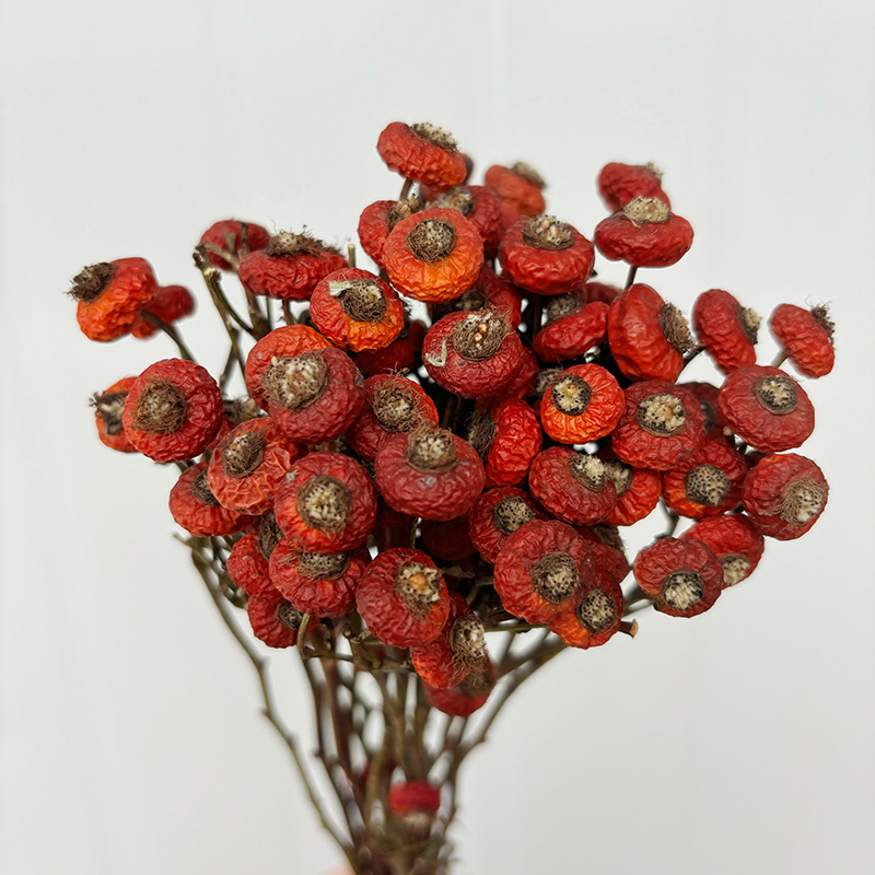 10 stuks/bundel gedroogde roze - Dried Flower Bulk recensie en prijs