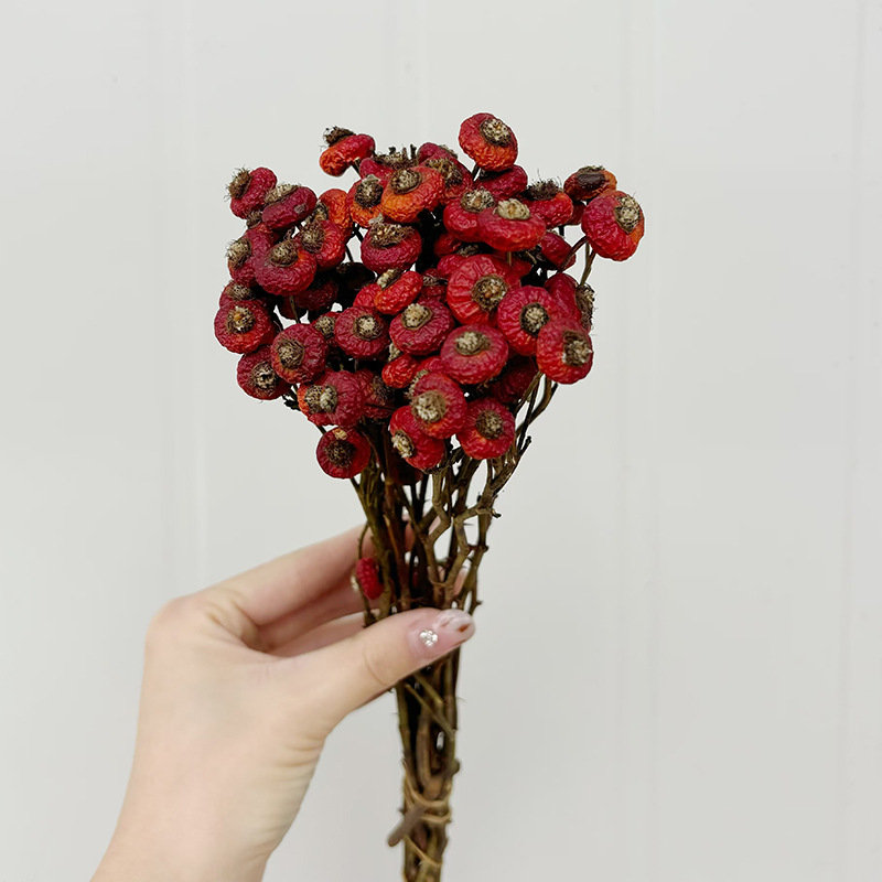 10 stuks/bundel gedroogde roze - Dried Flower Bulk recensie en prijs