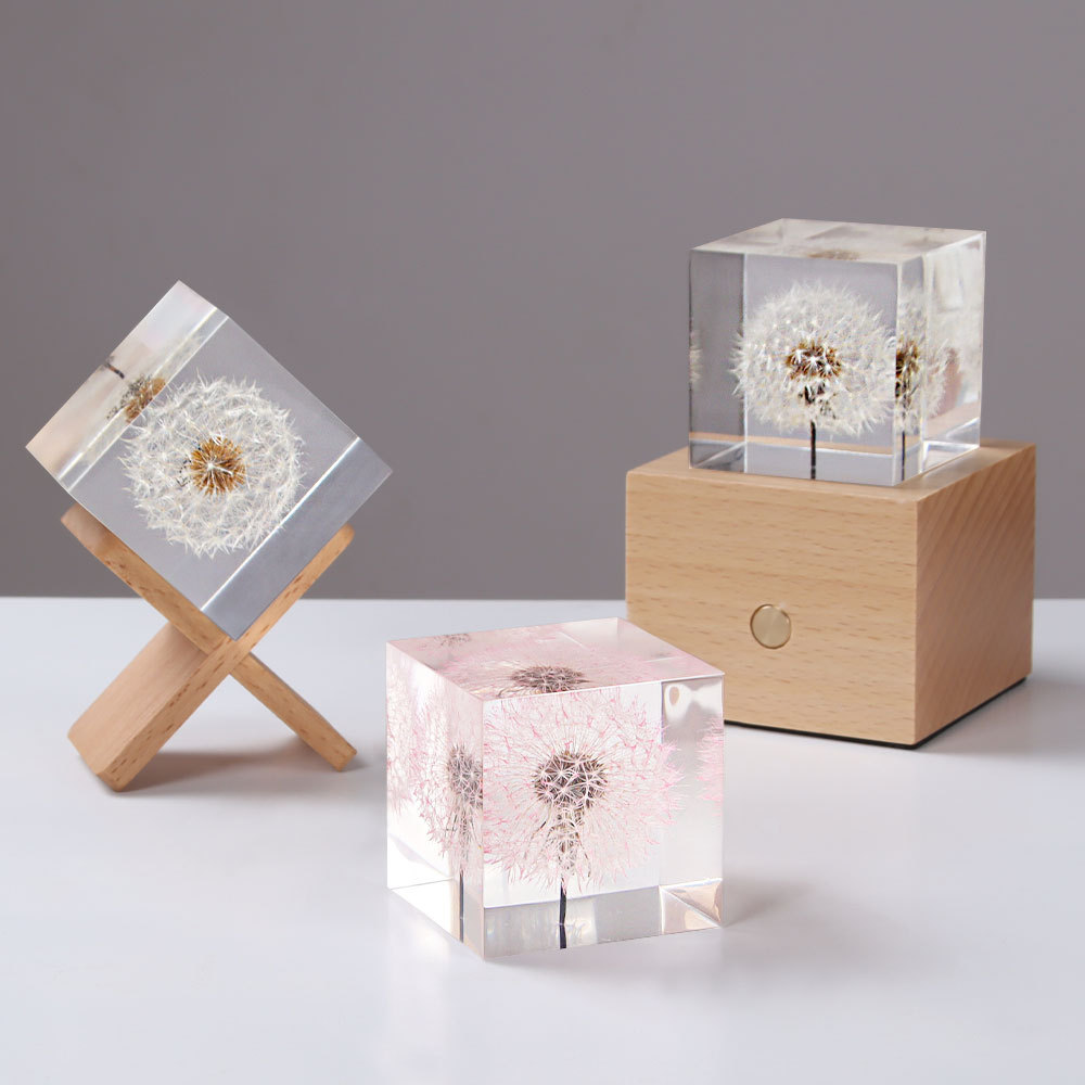 Paardebloem Geconserveerde Ver - Flower Preservation Resin recensie en prijs