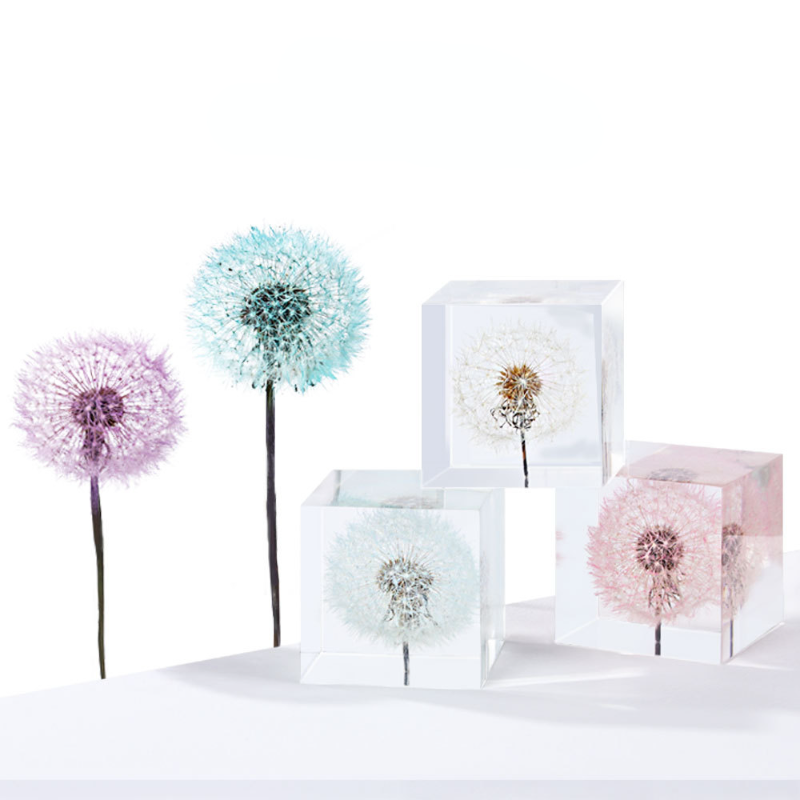 Paardebloem Geconserveerde Ver - Flower Preservation Resin recensie en prijs