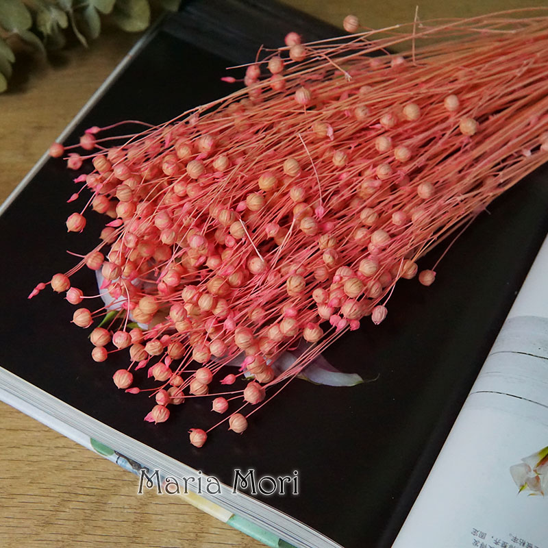 35g/Geconserveerde Ormosia Hos - Dried Flower Bulk recensie en prijs