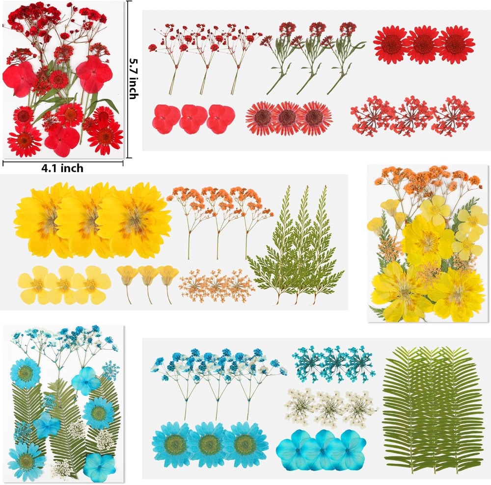 Gedroogde geperste bloemen voo - Dried Flower Bulk recensie en prijs