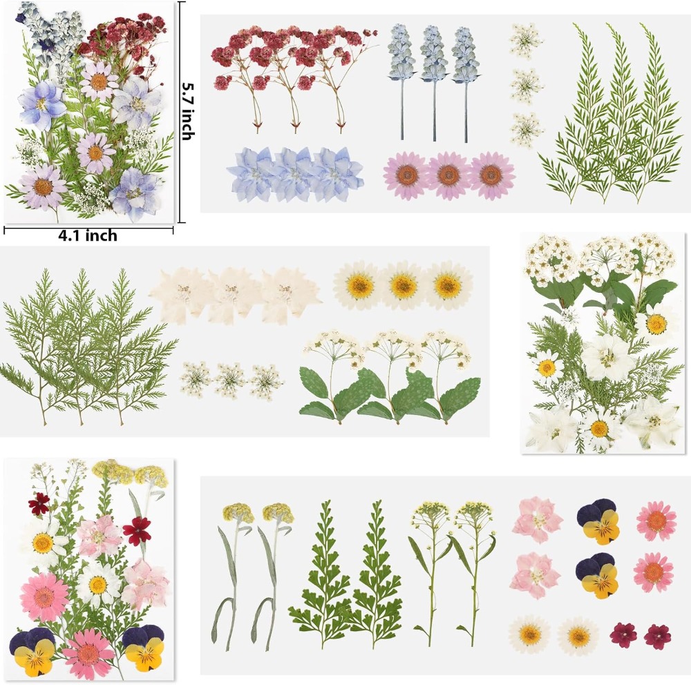 Gedroogde geperste bloemen voo - Dried Flower Bulk recensie en prijs