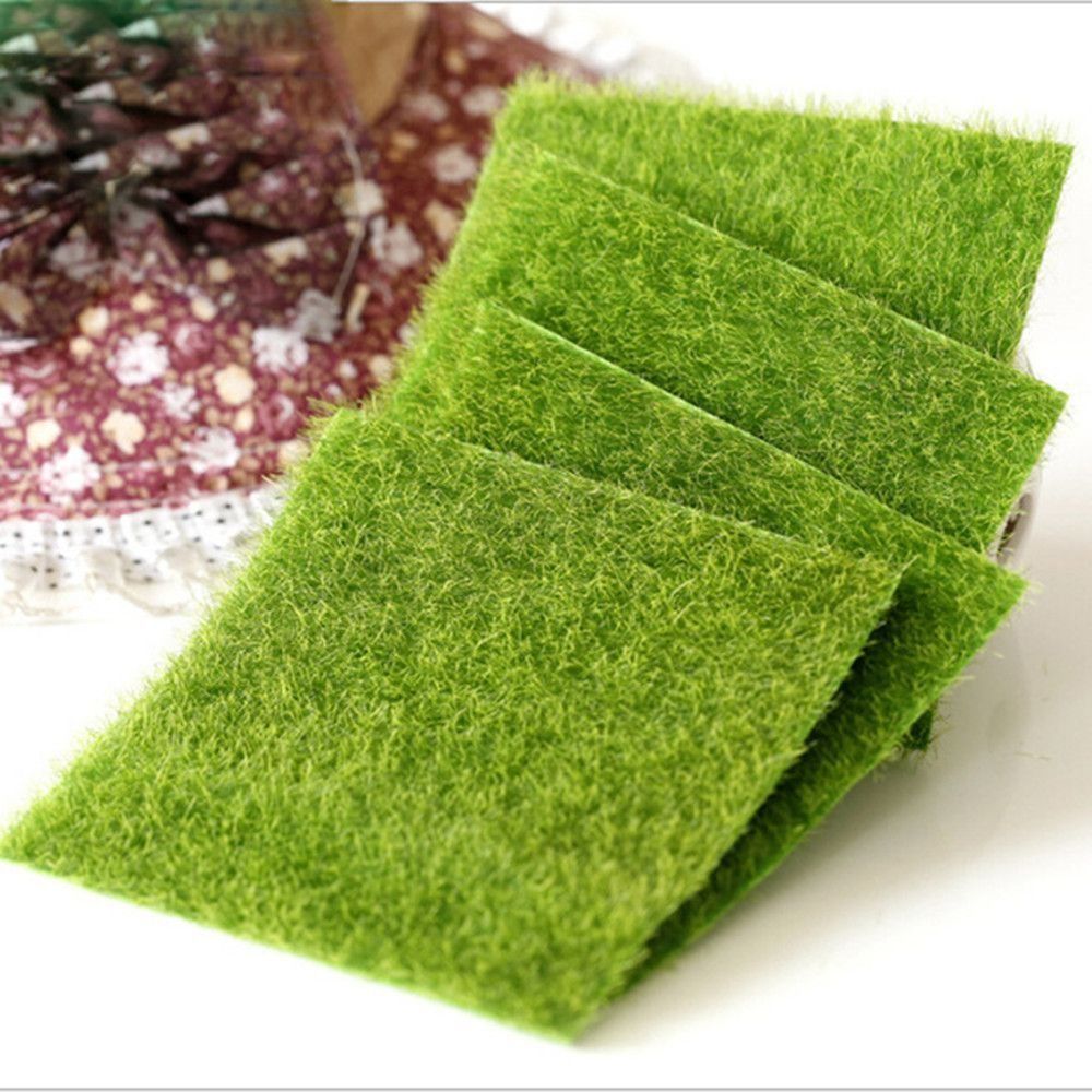 Ecologisch gazondecoratie Tuin - Terrarium Moss Art recensie en prijs