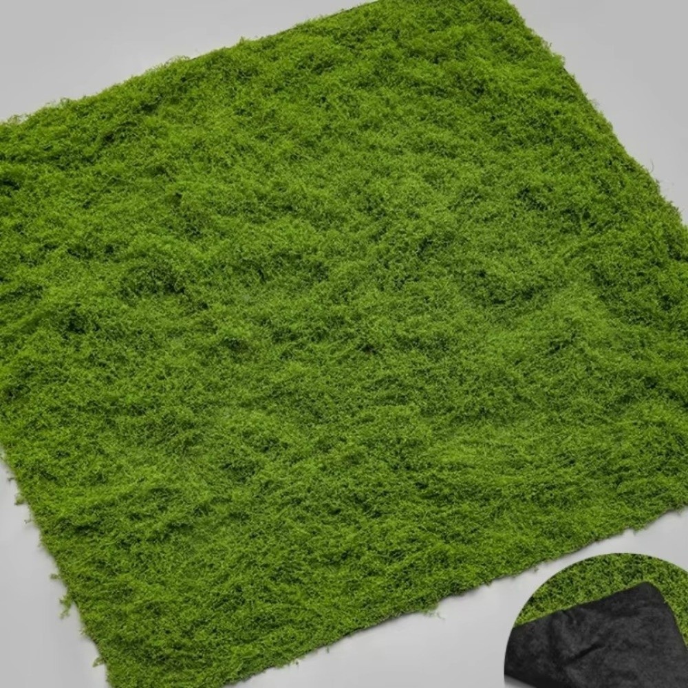 DIY Kunstgras Tapijt Duurzaam  - Terrarium Moss Art recensie en prijs