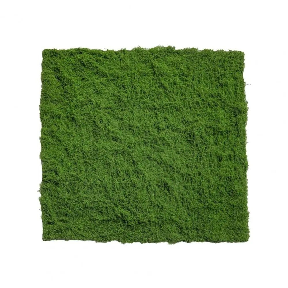 DIY Kunstgras Tapijt Duurzaam  - Terrarium Moss Art recensie en prijs