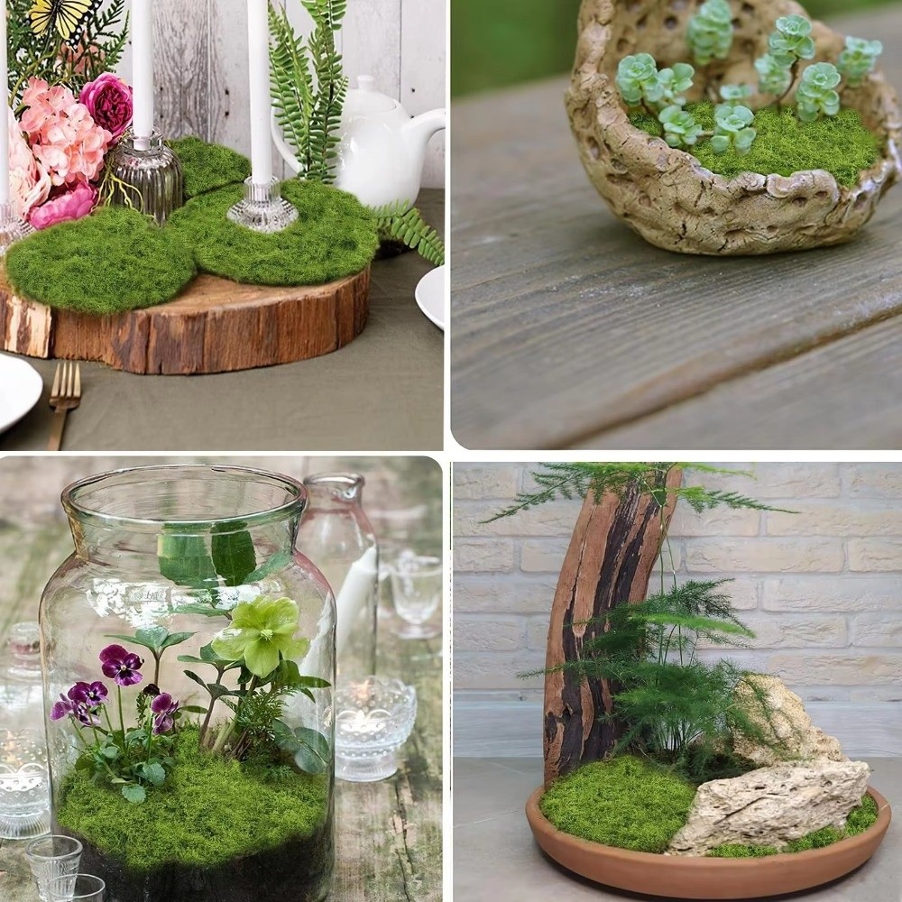 DIY Kunstgras Tapijt Duurzaam  - Terrarium Moss Art recensie en prijs
