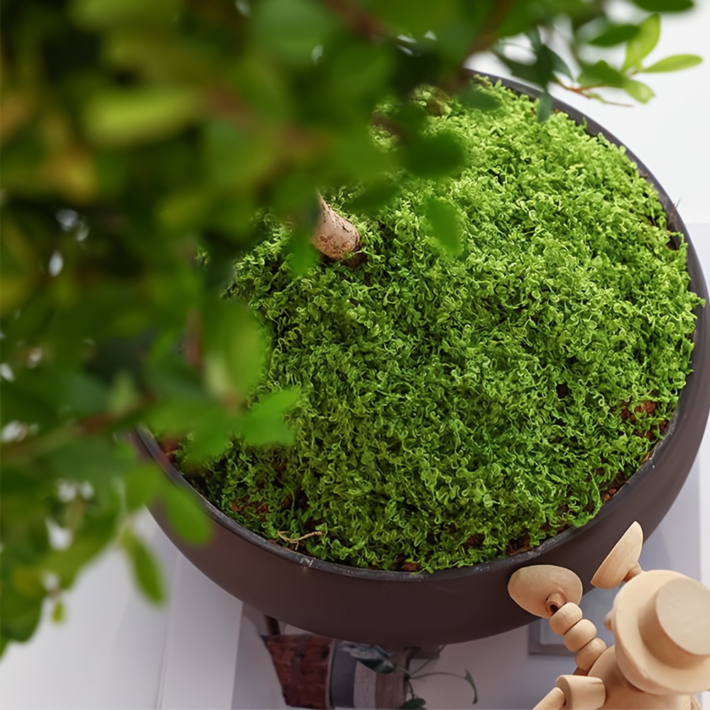 1pack kunstmatig nepmos, 1,05  - Terrarium Moss Art recensie en prijs