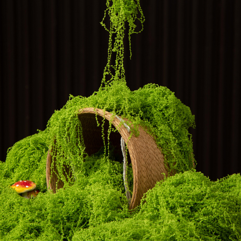 200g Eeuwig leven mos DIY amba - Terrarium Moss Art recensie en prijs