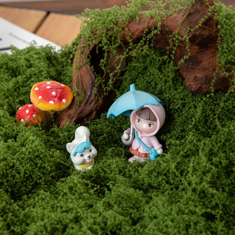 200g Eeuwig leven mos DIY amba - Terrarium Moss Art recensie en prijs