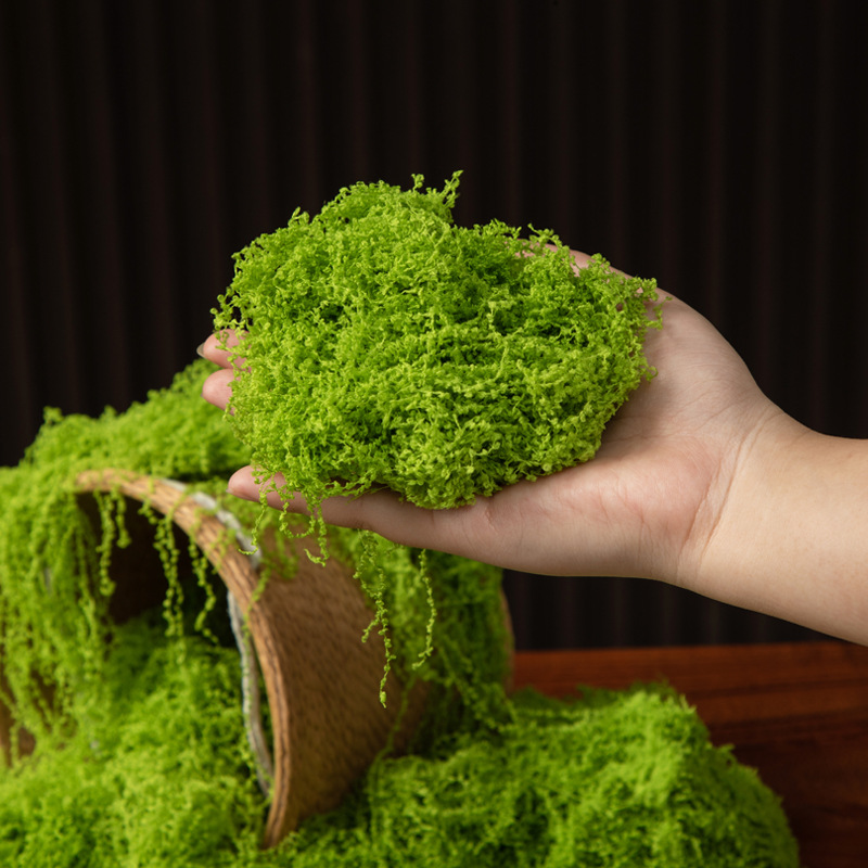 200g Eeuwig leven mos DIY amba - Terrarium Moss Art recensie en prijs