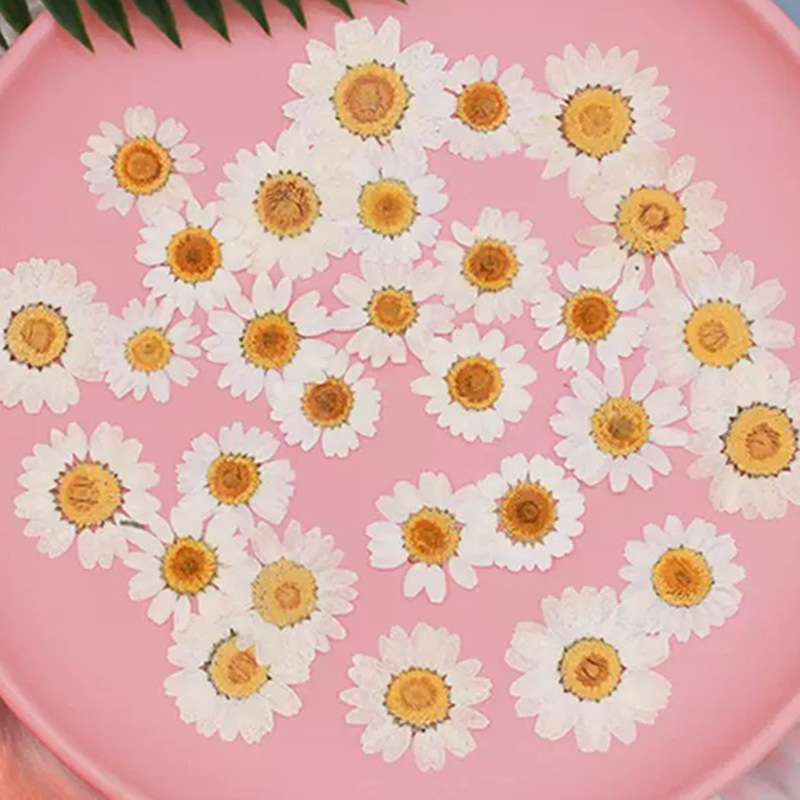 100 stuks natuurlijke witte kr - Resin Craft Ideas recensie en prijs