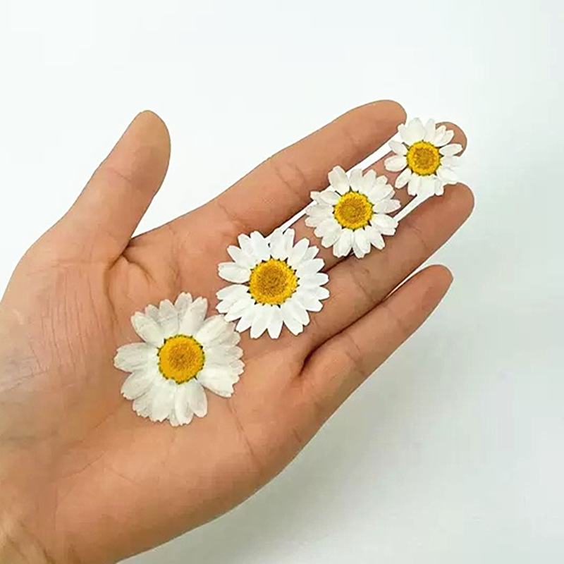 100 stuks natuurlijke witte kr - Resin Craft Ideas recensie en prijs