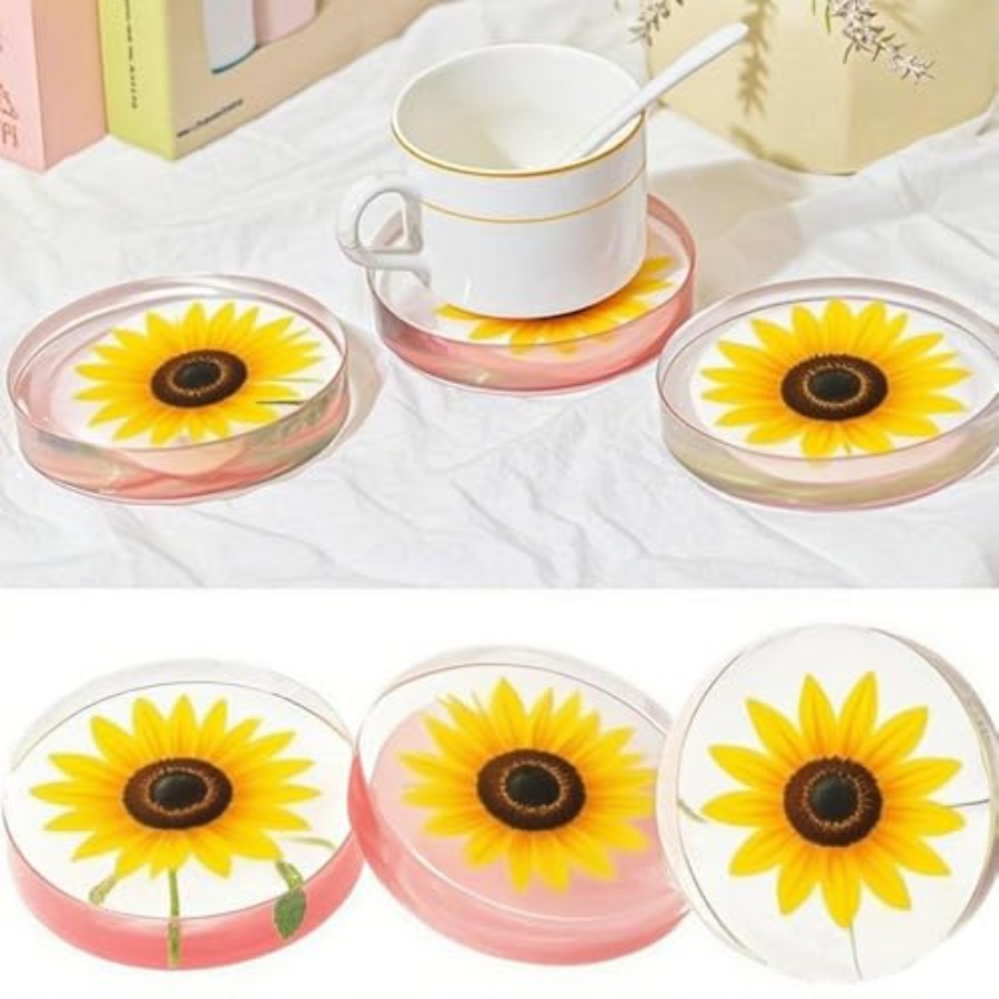 6-delige diepe ronde siliconen - Coaster Mold Round recensie en prijs