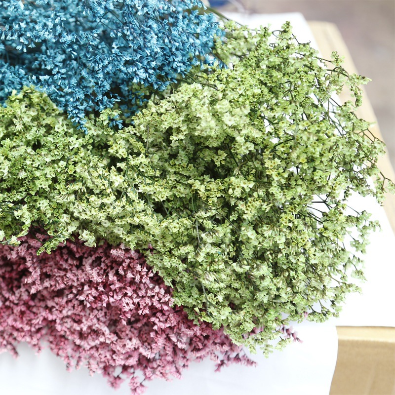 Natuurlijke Verse Gedroogde Be - Dried Flower Bulk recensie en prijs