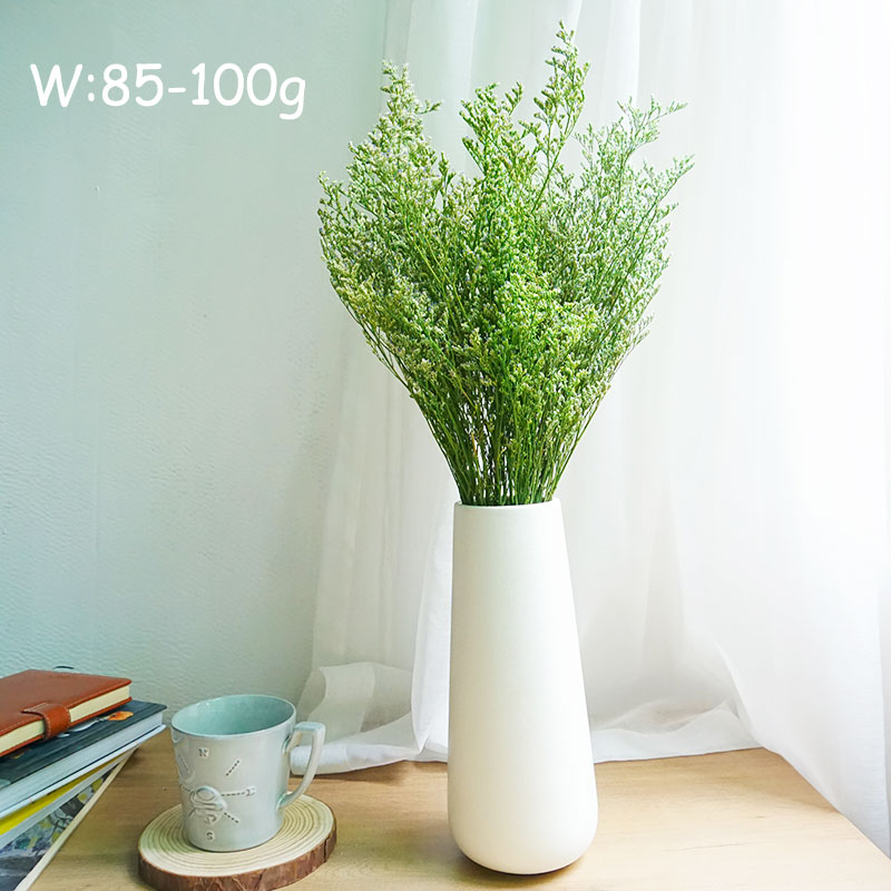 50g/geconserveerd Valentijnsgr - Dried Flower Bulk recensie en prijs
