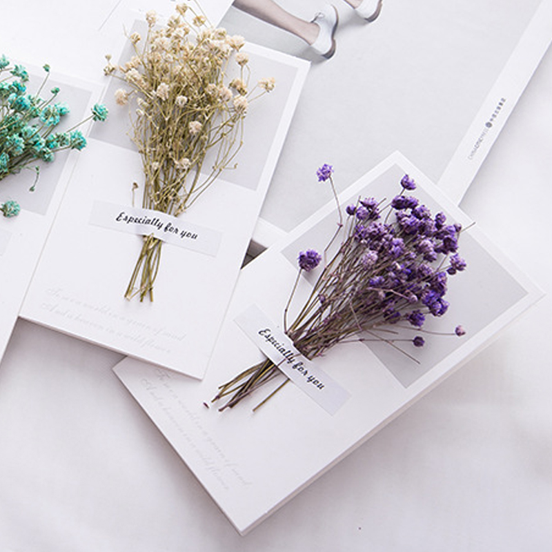 10 stks Een Gift Card Trouwkaa - Dried Flower Bulk recensie en prijs