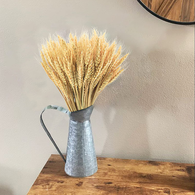 50/100/200PCS Gedroogde Tarwe  - Dried Flower Bulk recensie en prijs