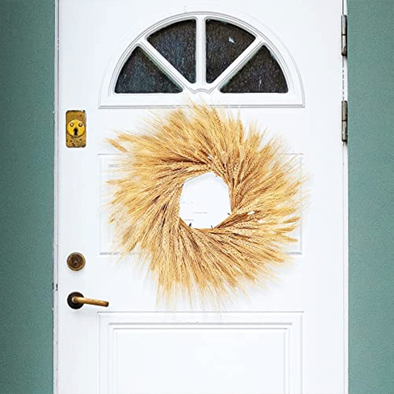 50/100/200PCS Gedroogde Tarwe  - Dried Flower Bulk recensie en prijs