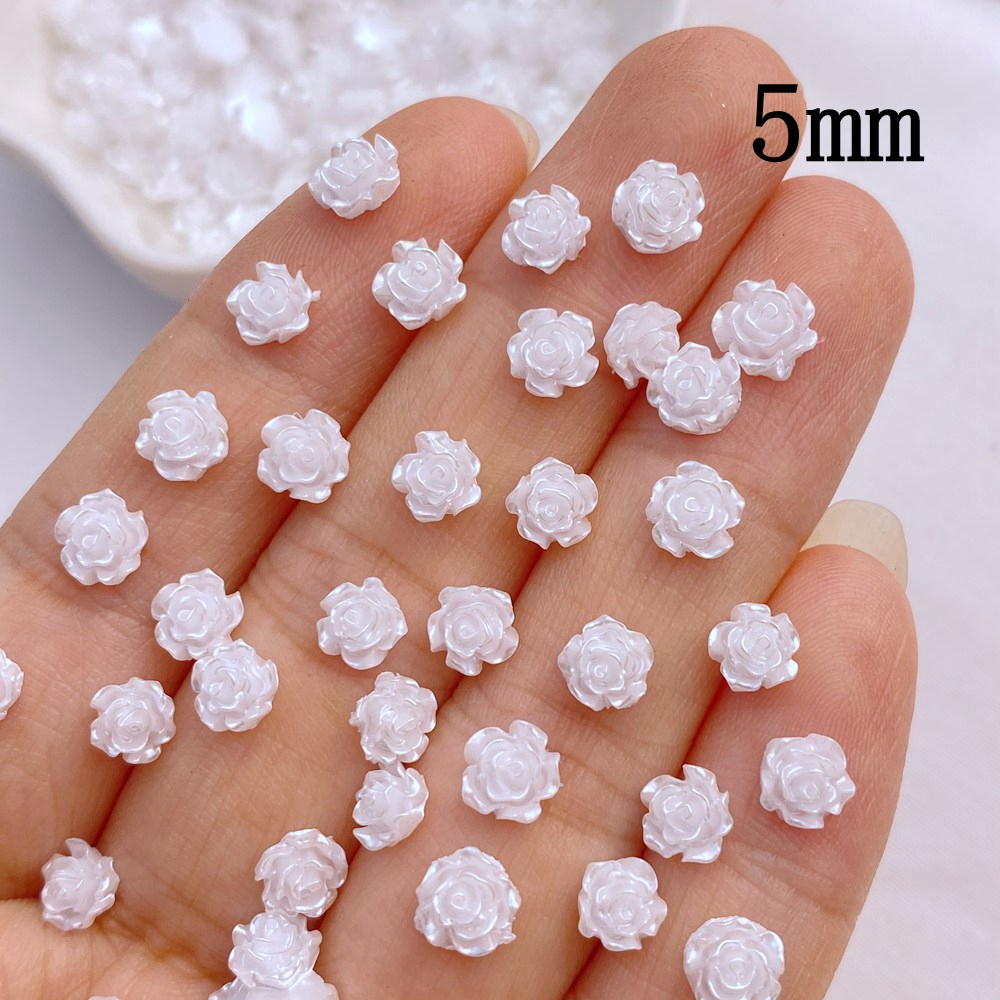 100 Stuks Nieuwe Schattige Min - Flower Preservation Resin recensie en prijs