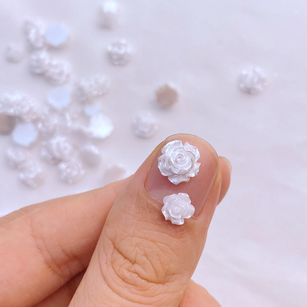 100 Stuks Nieuwe Schattige Min - Flower Preservation Resin recensie en prijs