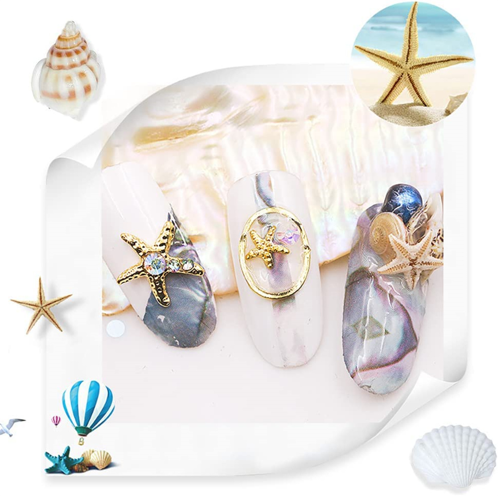 1 Box Zeeschelpen Parel Hars V - Resin Ocean Wave Mold recensie en prijs