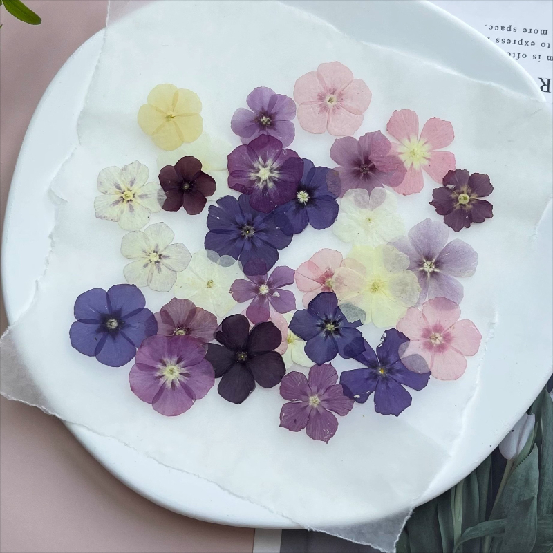 12 stuks, semi-transparante ni - Resin Craft Ideas recensie en prijs