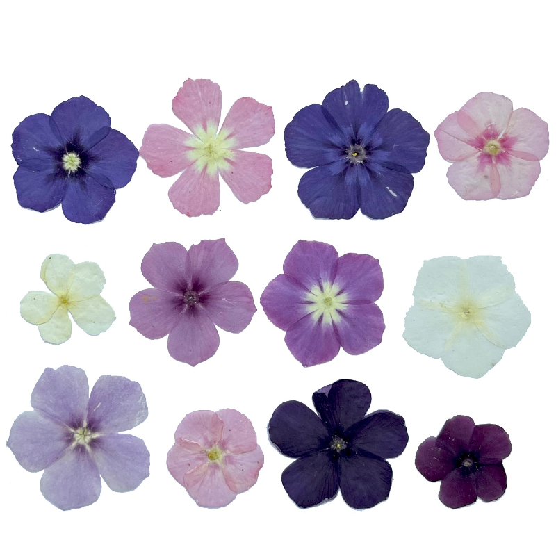 12 stuks, semi-transparante ni - Resin Craft Ideas recensie en prijs