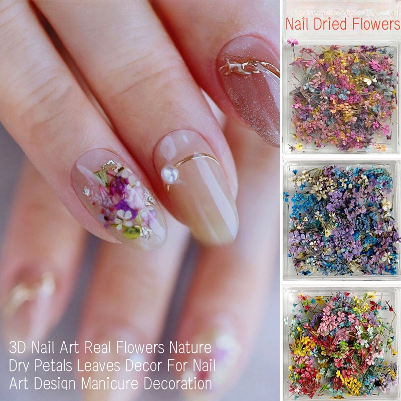 Gemengde kleine gedroogde bloe - Dried Flower Bulk recensie en prijs