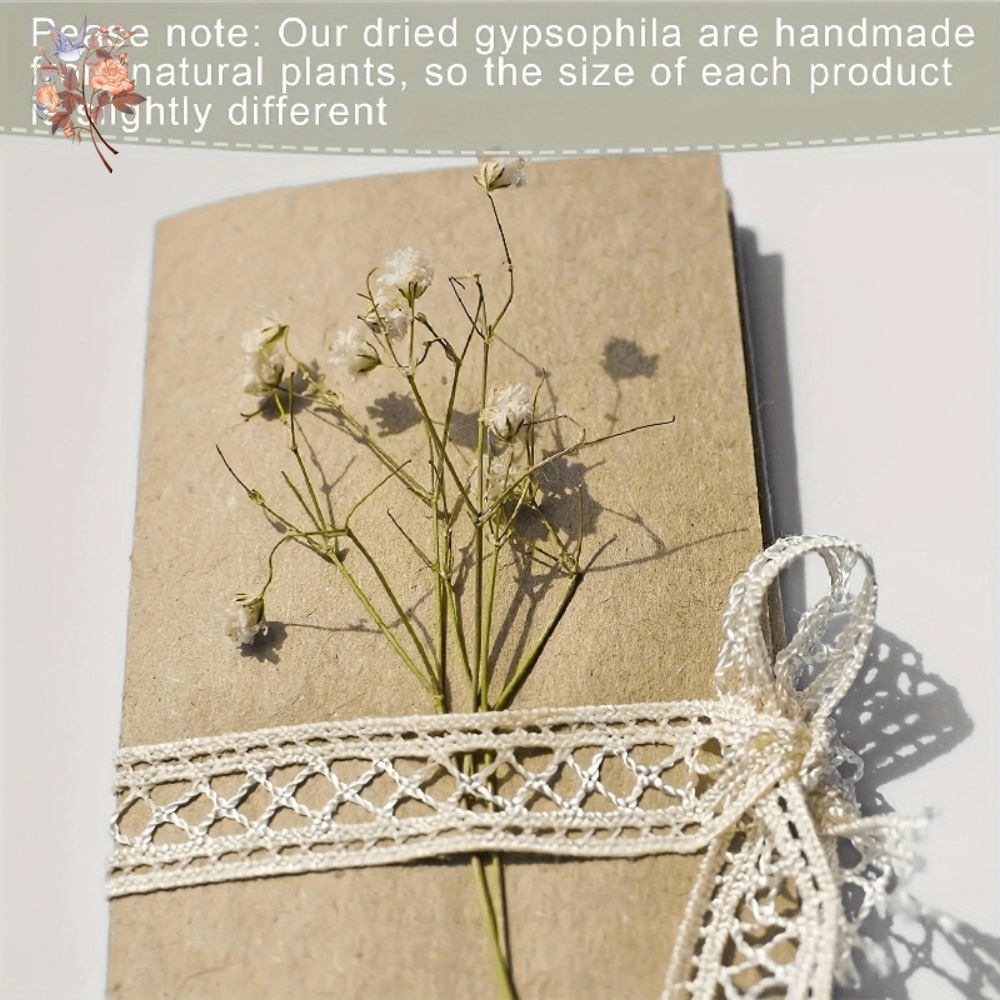 100 stuks Mini Gedroogde Baby' - Resin Craft Ideas recensie en prijs